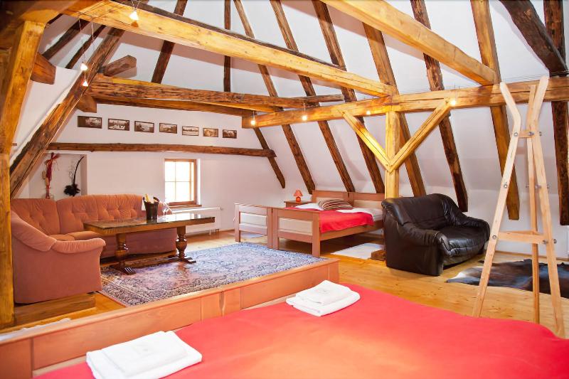 Hotel-Restaurant Svamberský Dum - Oda