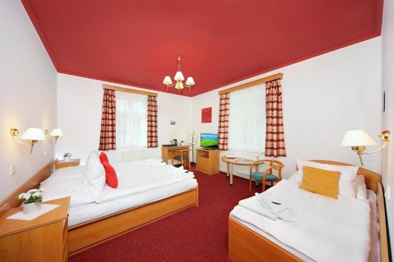 Hotel Hradec - Oda