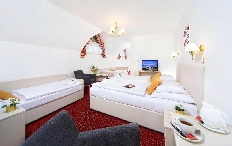 Hotel Hradec - Oda