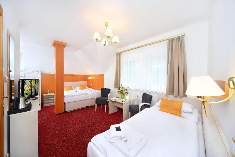 Hotel Hradec - Oda