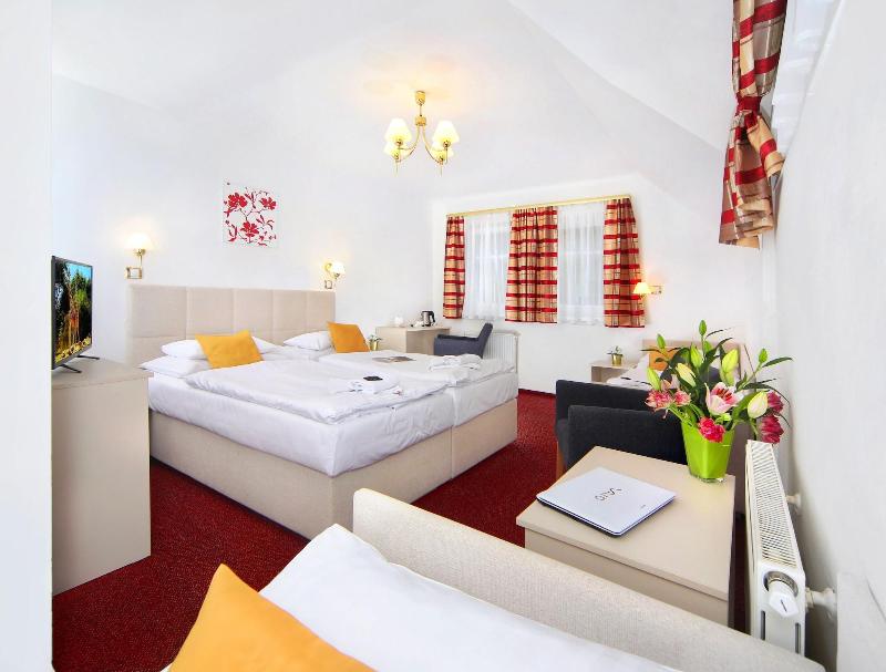 Hotel Hradec - Oda