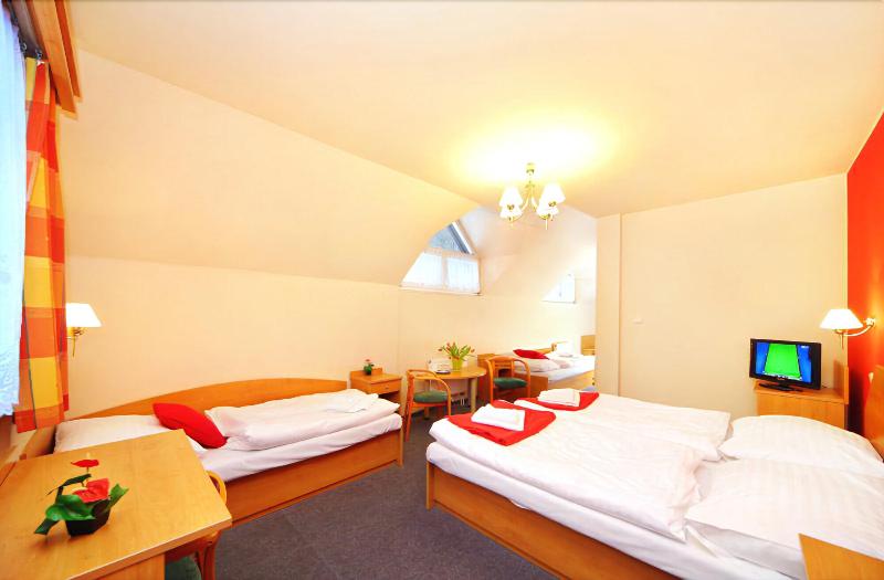 Hotel Hradec - Oda