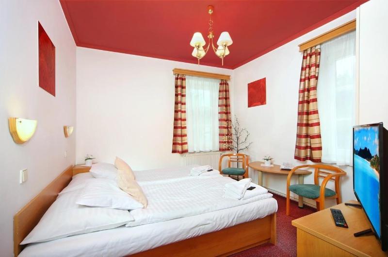 Hotel Hradec - Oda