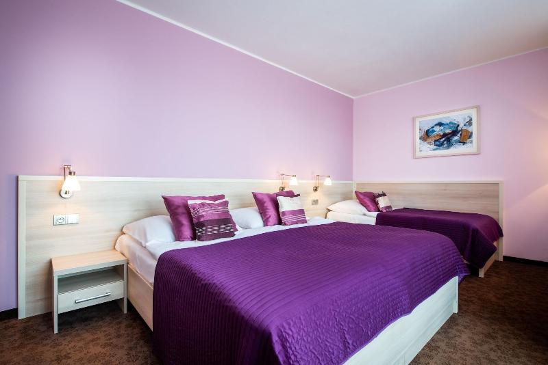 Hotel Mlynska - Oda