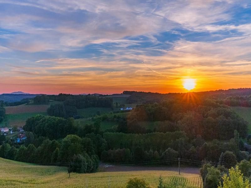 Panoramahof Loipersdorf - Genel