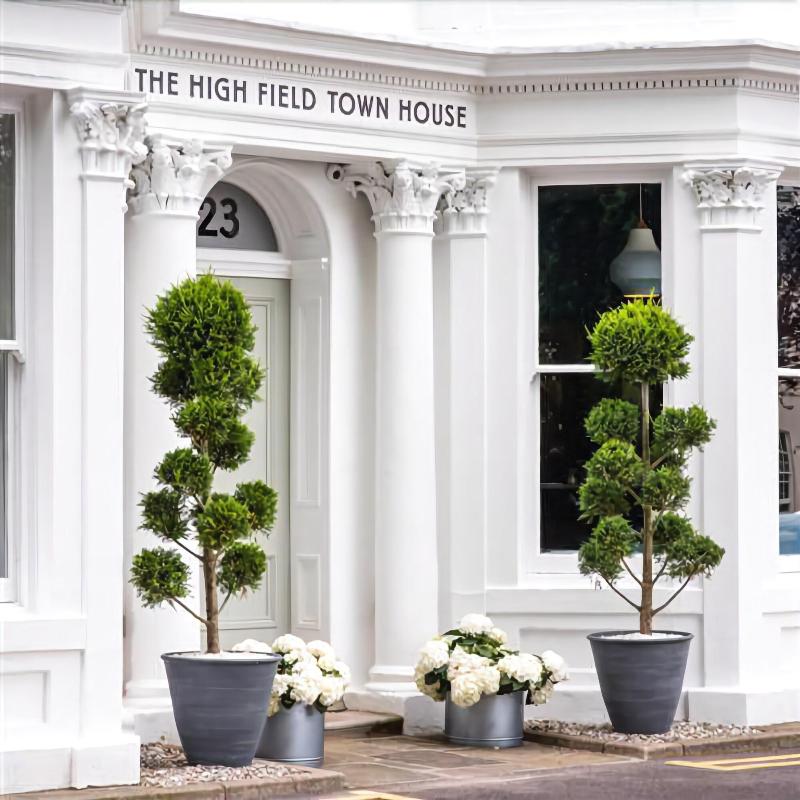 The High Field Town House - Genel