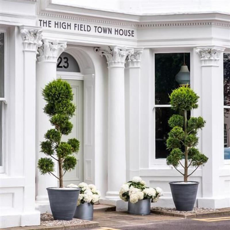 The High Field Town House - Genel