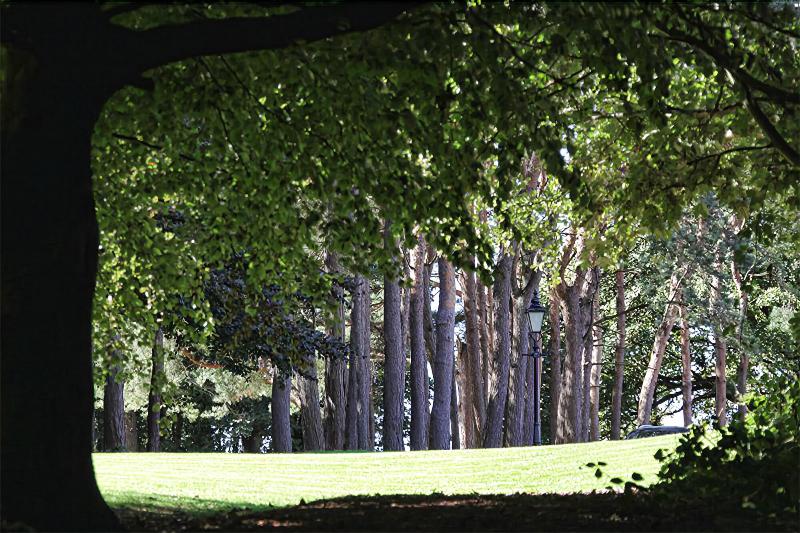 Abbey House Hotel - Genel