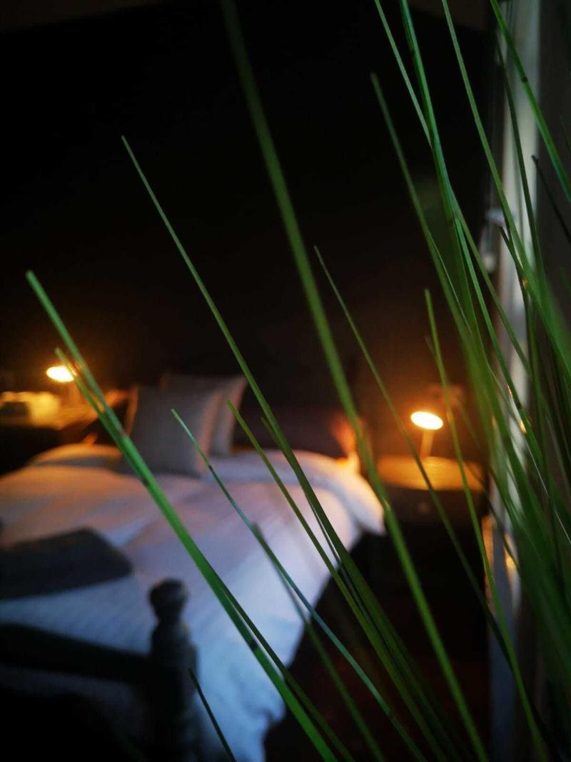 Lynbar Hotel - Oda