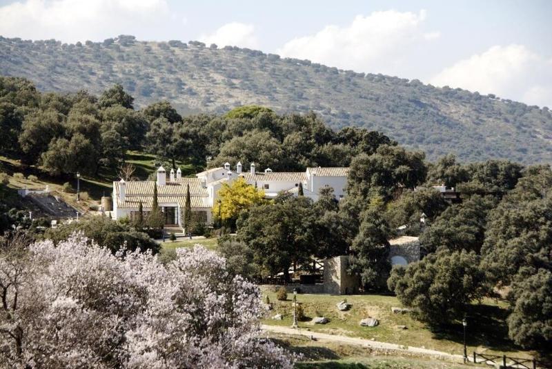 Los Pilares de Ronda Boutique & Hotel - Genel