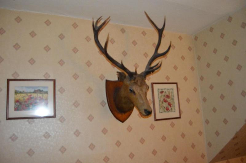 Belgrave Arms Hotel - Lobi