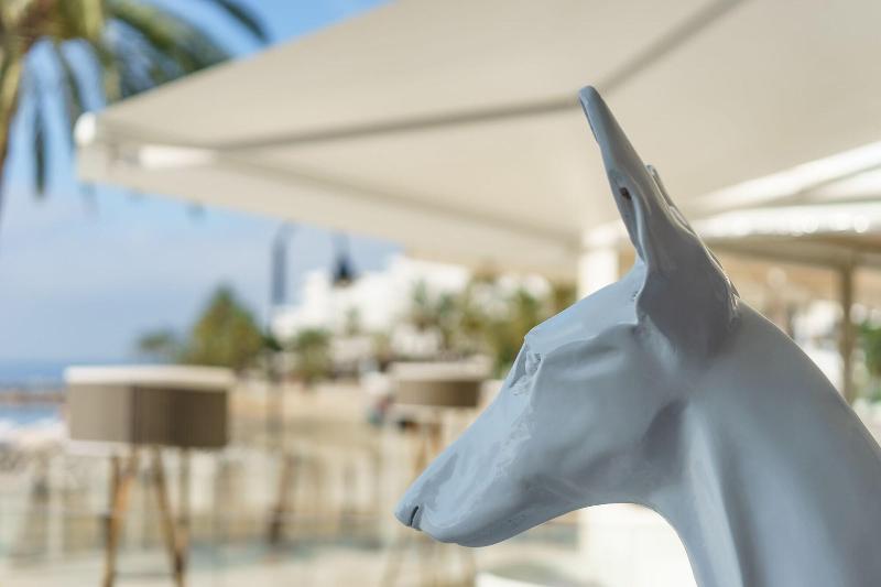 One Ibiza Suites - Genel