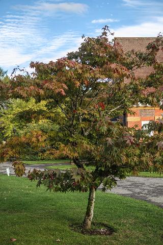 Barnett Hill - Luxury Hotel fotoÄŸrafÄ±