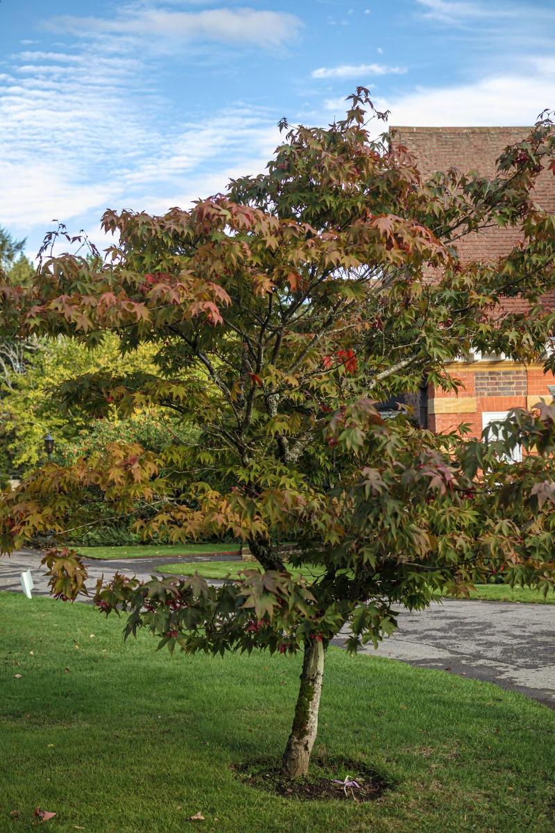 Barnett Hill - Luxury Hotel - Teras