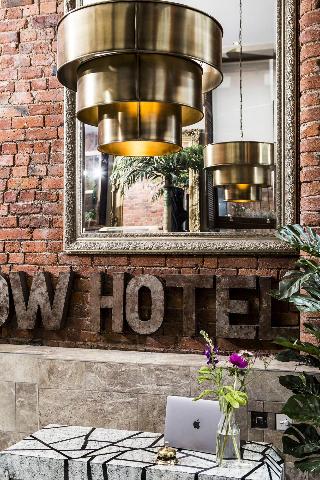 The Cow Hollow Hotel fotoÄŸrafÄ±