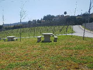 Hotel Rural Quinta das Quintães fotoÄŸrafÄ±