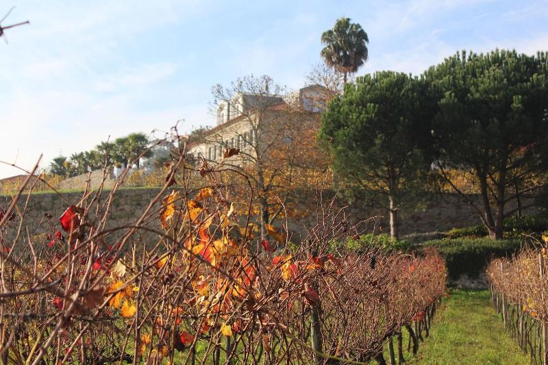 Hotel Rural Quinta das Quintães - Oda