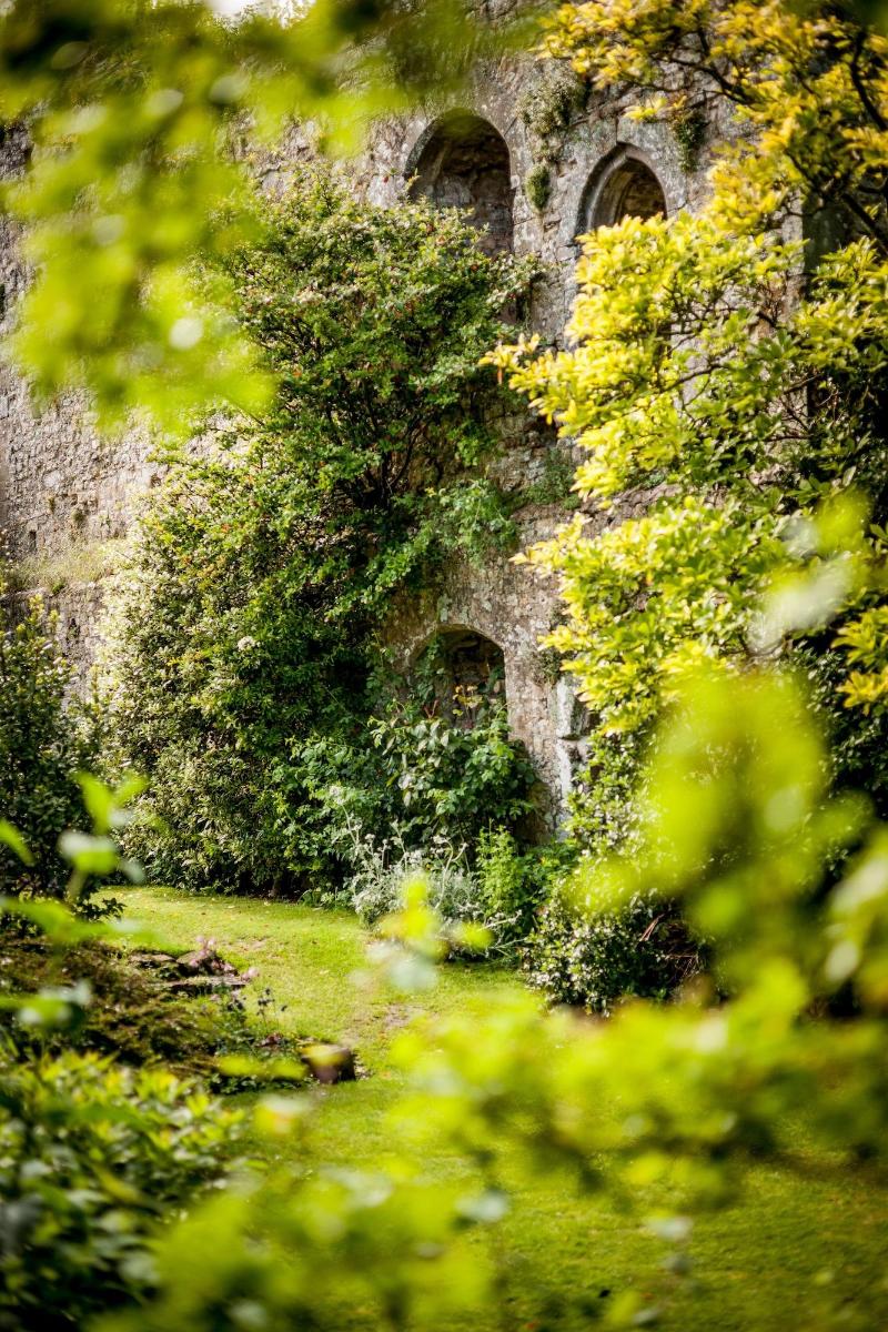 Amberley Castle - Oda