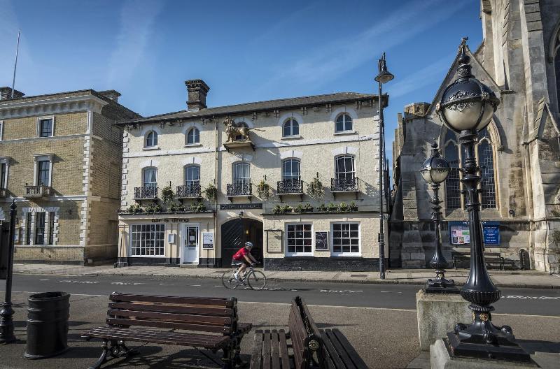 The Golden Lion - Genel