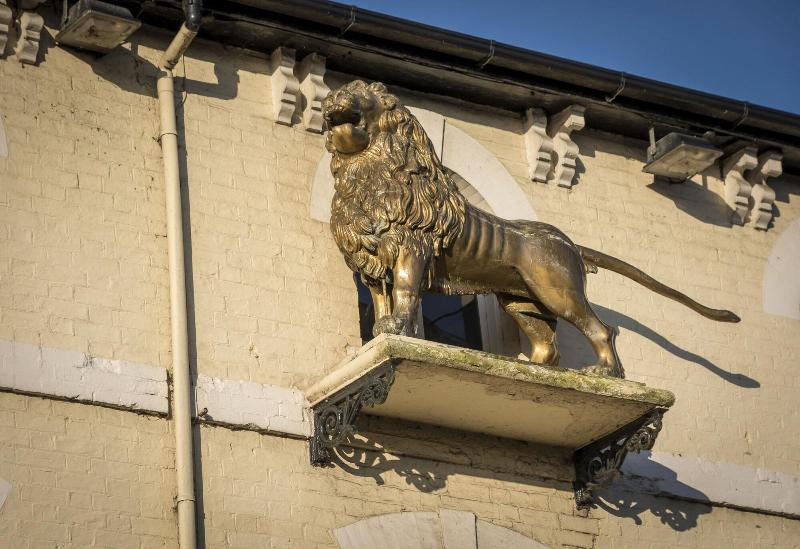 The Golden Lion - Teras