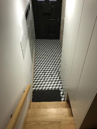 Insitu Trindade fotoÄŸrafÄ±
