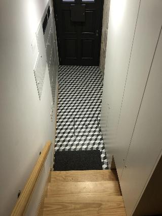 Insitu Trindade fotoÄŸrafÄ±