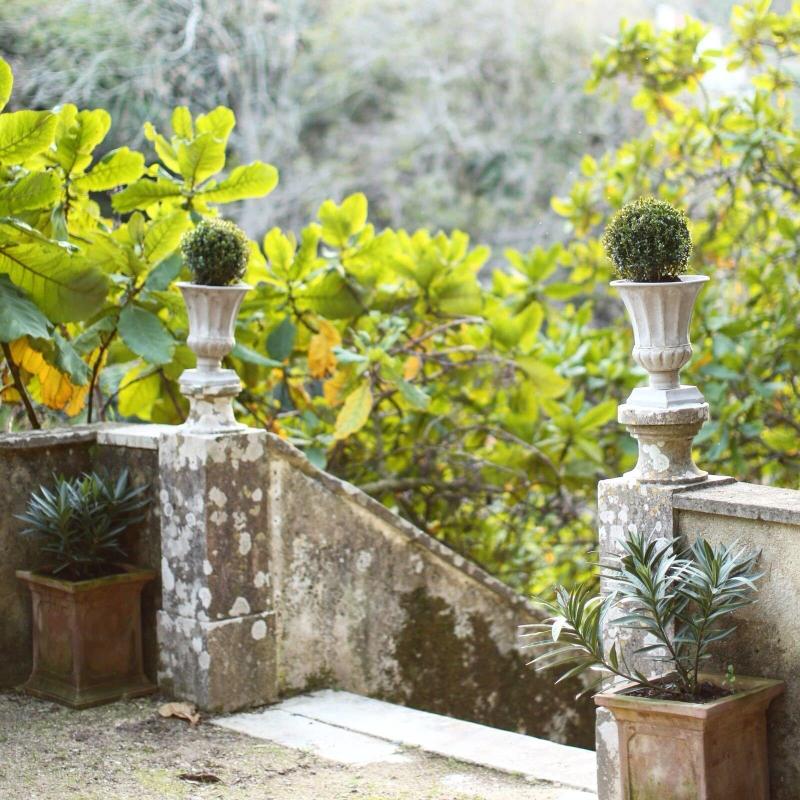 Casa Holstein Quinta de São Sebastião - Genel