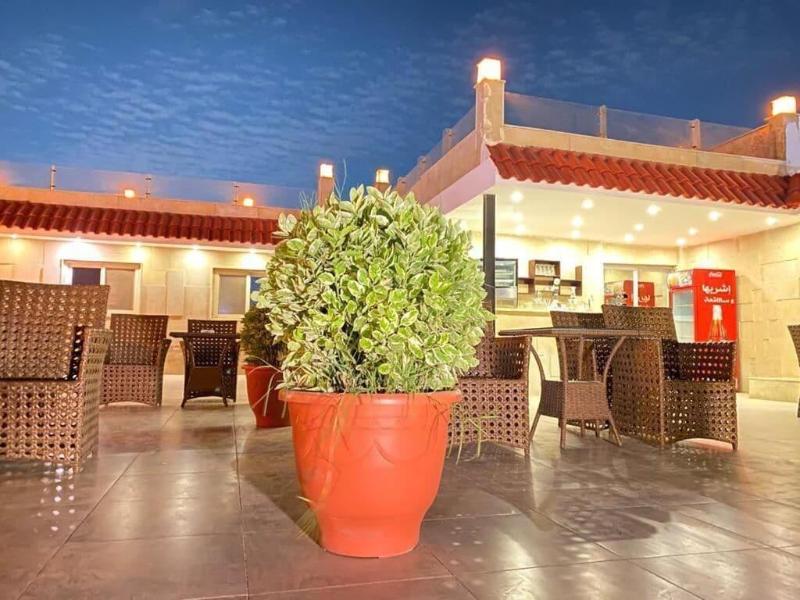 Egypt Pyramids Inn - Genel