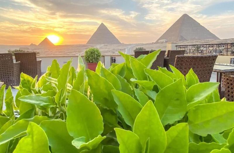 Egypt Pyramids Inn - Genel