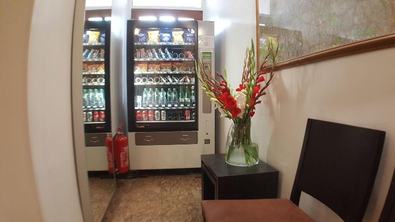 Star Hotel Bed & Breakfast - Aktivite