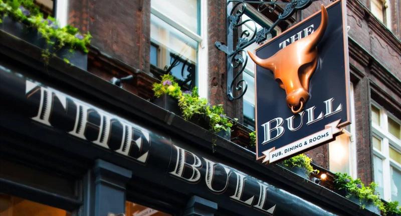The Bull And The Hide - Genel