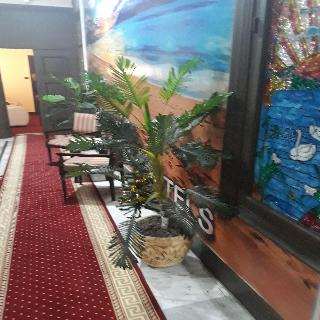 Paradise Boutique Hotel fotoÄŸrafÄ±