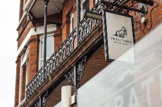 The Salty Dog Hotel & Bistro fotoÄŸrafÄ±