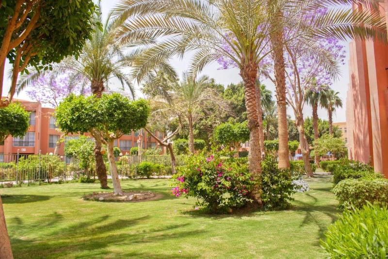 Palmera Azur Resort - Genel