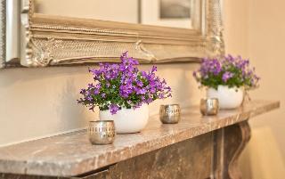 The Hedley Townhouse B&B fotoÄŸrafÄ±