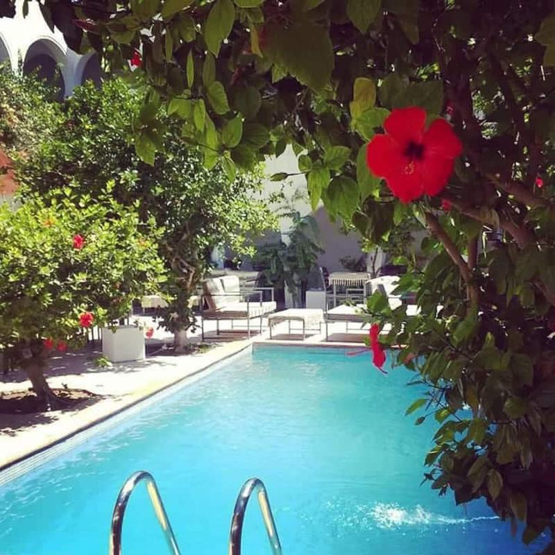 Hotel Arisha - Aktivite