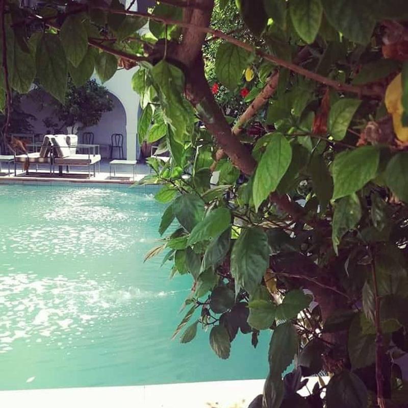 Hotel Arisha - Aktivite