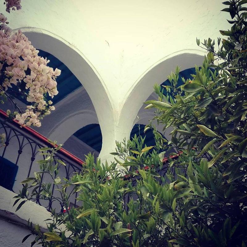 Hotel Arisha - Genel