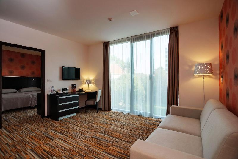 Art Hotel Szeged - Oda