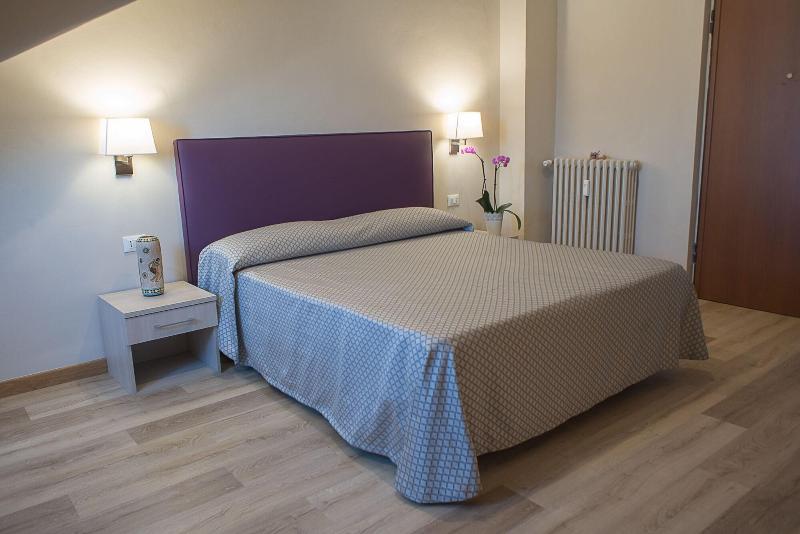Hotel Torino Porta Susa - Oda
