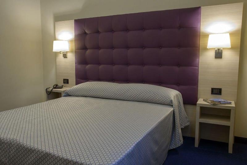 Hotel Torino Porta Susa - Oda