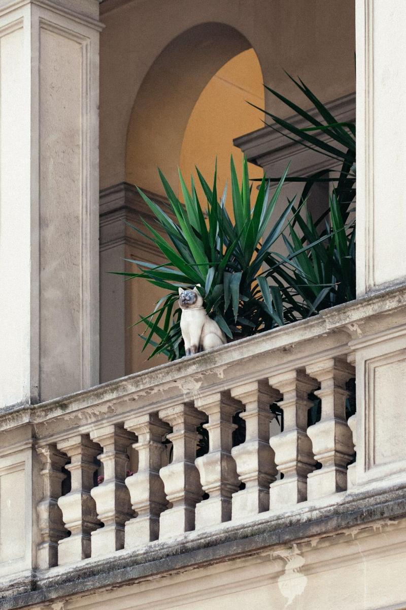 Hotel Gran Duca Di York - Genel