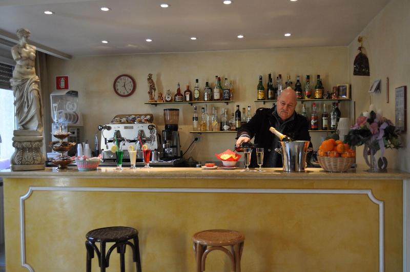 Hotel Alsazia - Bar