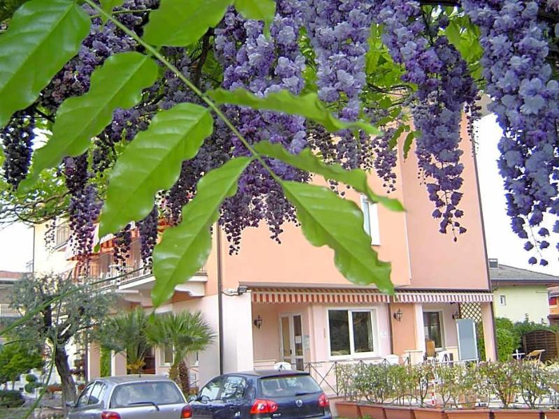 Hotel Alsazia - Genel