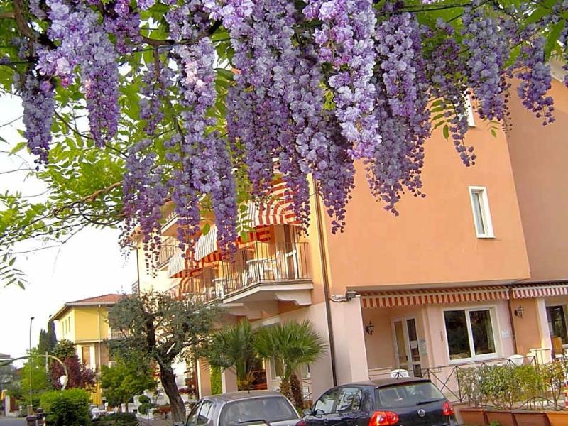 Hotel Alsazia - Genel