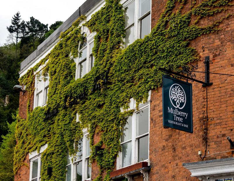 The Mount Pleasant Hotel - Genel