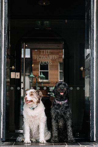 Howard Arms fotoÄŸrafÄ±