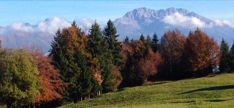 Hotel Milano - Lo Chalet - Genel