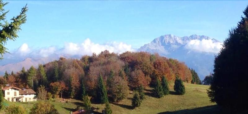 Hotel Milano - Lo Chalet - Genel