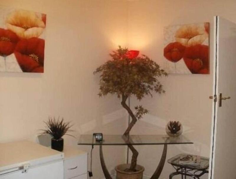 London Heathrow Guesthouse - Oda